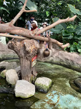 神戸どうぶつ王国に投稿された画像（2022/6/18）