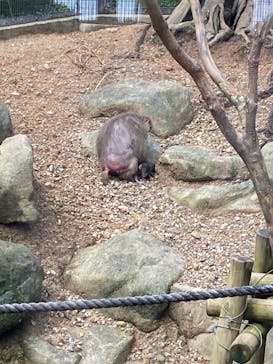 沖縄こどもの国に投稿された画像（2022/6/18）