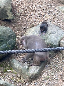 沖縄こどもの国に投稿された画像（2022/6/18）
