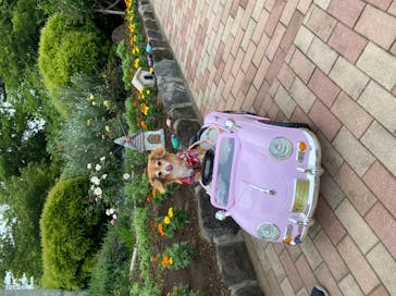 ニューヨークランプミュージアム＆フラワーガーデンに投稿された画像（2022/6/18）