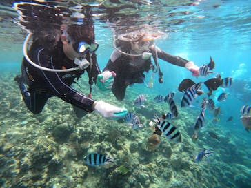 青の洞窟専門店　沖縄ダイビングショップ和に投稿された画像（2022/6/18）