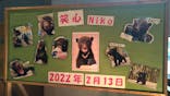 奥飛騨クマ牧場に投稿された画像（2022/6/18）