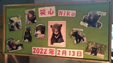 奥飛騨クマ牧場に投稿された画像（2022/6/18）