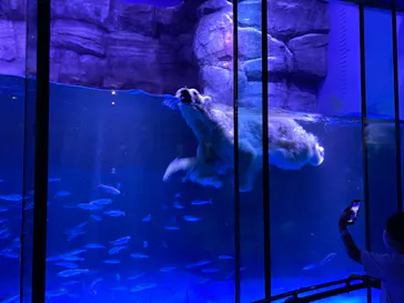 横浜・八景島シーパラダイスに投稿された画像（2022/6/18）