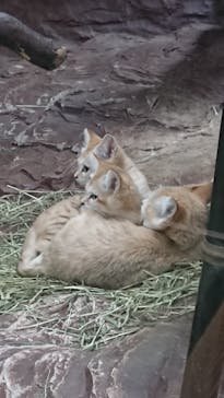 那須どうぶつ王国に投稿された画像（2022/6/18）