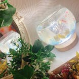 ずこうしつ〜sugamo〜に投稿された画像（2022/6/18）