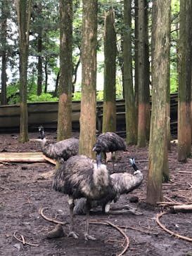 富士花鳥園に投稿された画像（2022/6/18）