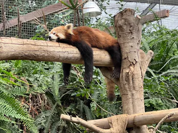 神戸どうぶつ王国に投稿された画像（2022/6/18）