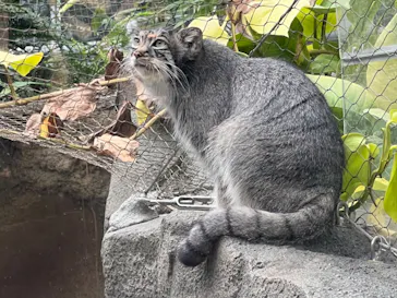 神戸どうぶつ王国に投稿された画像（2022/6/18）