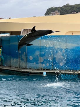 新江ノ島水族館に投稿された画像（2022/6/18）