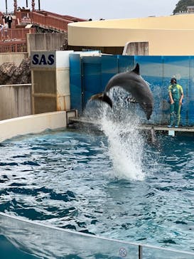 新江ノ島水族館に投稿された画像（2022/6/18）