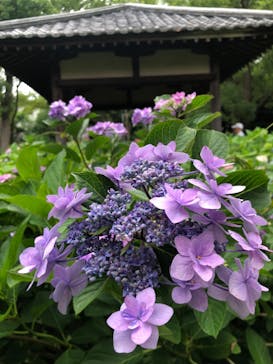 京阪電車に投稿された画像（2022/6/19）