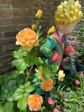 星の王子さまミュージアム 箱根サン=テグジュペリに投稿された画像（2022/6/19）