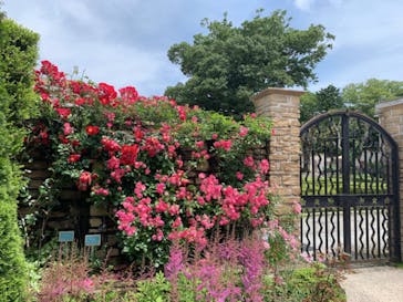 星の王子さまミュージアム 箱根サン=テグジュペリに投稿された画像（2022/6/19）