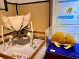 国立科学博物館　特別企画展「ポケモン化石博物館」に投稿された画像（2022/6/19）