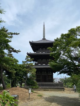 三溪園に投稿された画像（2022/6/19）