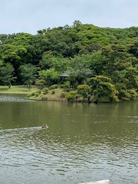 三溪園に投稿された画像（2022/6/19）