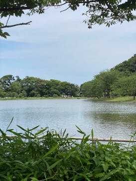 三溪園に投稿された画像（2022/6/19）