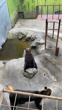 阿蘇カドリー・ドミニオンに投稿された画像（2022/6/19）