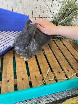 阿蘇カドリー・ドミニオンに投稿された画像（2022/6/19）