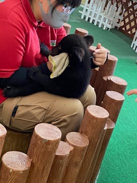 阿蘇カドリー・ドミニオンに投稿された画像（2022/6/19）