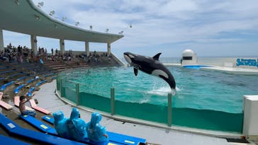 鴨川シーワールドに投稿された画像（2022/6/19）