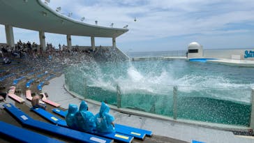 鴨川シーワールドに投稿された画像（2022/6/19）