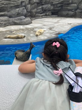 鴨川シーワールドに投稿された画像（2022/6/19）