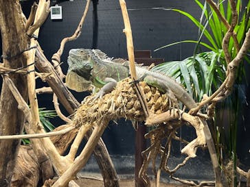 カワスイ 川崎⽔族館に投稿された画像（2022/6/19）