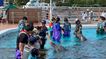 横浜・八景島シーパラダイスに投稿された画像（2022/6/19）