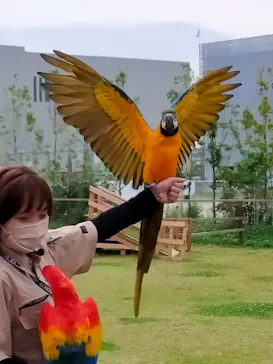 神戸どうぶつ王国に投稿された画像（2022/6/19）