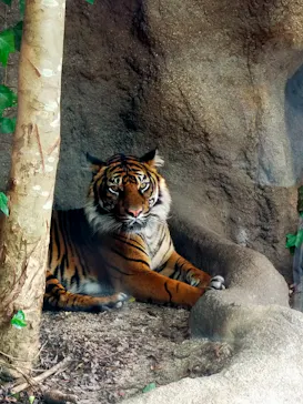 神戸どうぶつ王国に投稿された画像（2022/6/19）