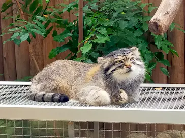 神戸どうぶつ王国に投稿された画像（2022/6/19）