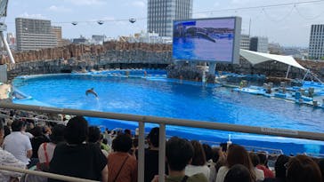 名古屋港水族館に投稿された画像（2022/6/19）