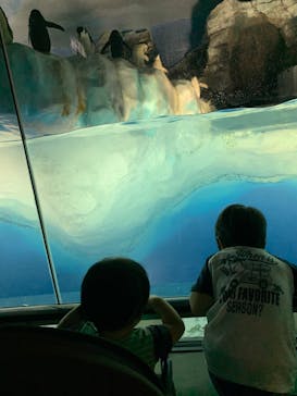 名古屋港水族館に投稿された画像（2022/6/19）