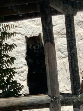 天王寺動物園に投稿された画像（2022/6/19）