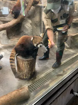 天王寺動物園に投稿された画像（2022/6/19）