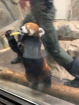 天王寺動物園に投稿された画像（2022/6/19）