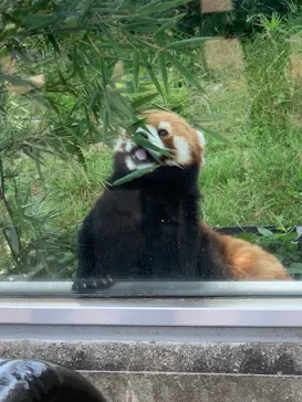 天王寺動物園に投稿された画像（2022/6/19）