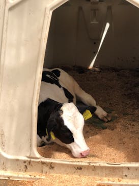 まかいの牧場に投稿された画像（2022/6/19）