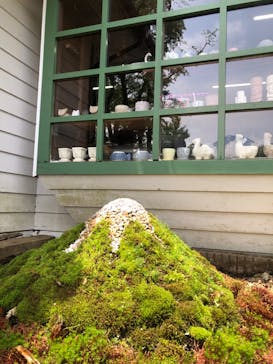 まかいの牧場に投稿された画像（2022/6/19）