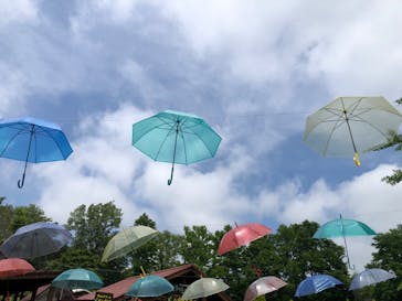 まかいの牧場に投稿された画像（2022/6/19）