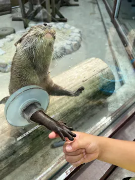 横浜・八景島シーパラダイスに投稿された画像（2022/6/19）