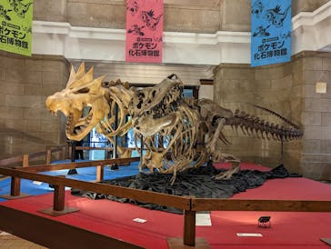 国立科学博物館　特別企画展「ポケモン化石博物館」に投稿された画像（2022/6/19）