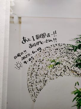 木梨憲武展　Timing ー瞬間の光りー（上野の森美術館）に投稿された画像（2022/6/19）