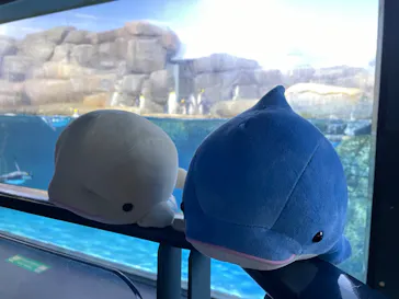 横浜・八景島シーパラダイスに投稿された画像（2022/6/19）