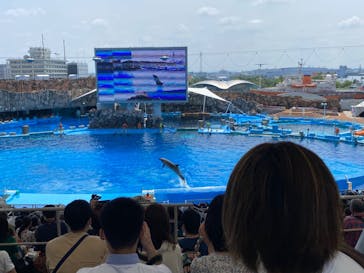 名古屋港水族館に投稿された画像（2022/6/19）