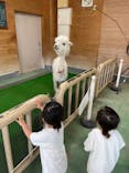 東武動物公園に投稿された画像（2022/6/19）