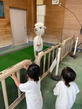 東武動物公園に投稿された画像（2022/6/19）