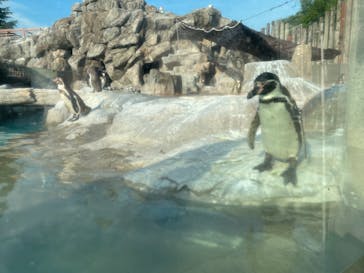 東武動物公園に投稿された画像（2022/6/19）